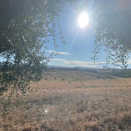Semesterbostad Tenuta Agave Ardea