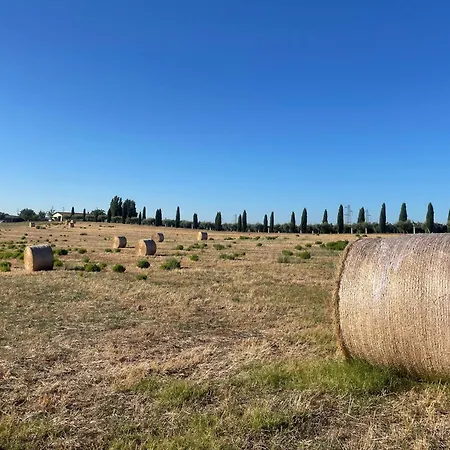 Tenuta Agave *