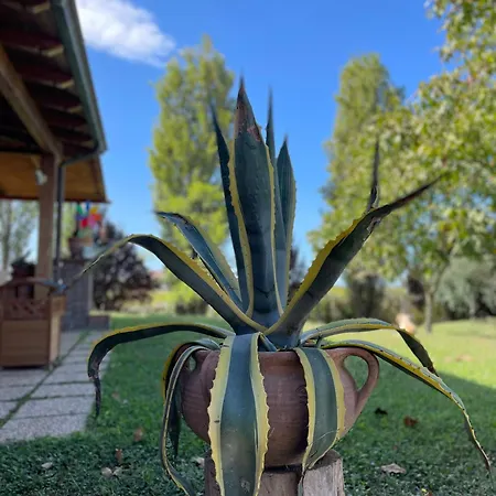 Tenuta Agave * Ardea